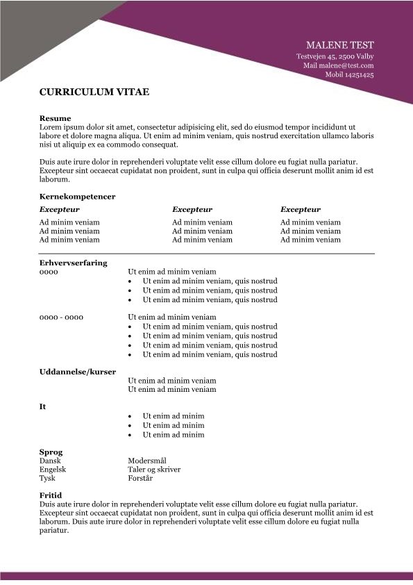 CV skabelon med resume og kernekompetencer - violet