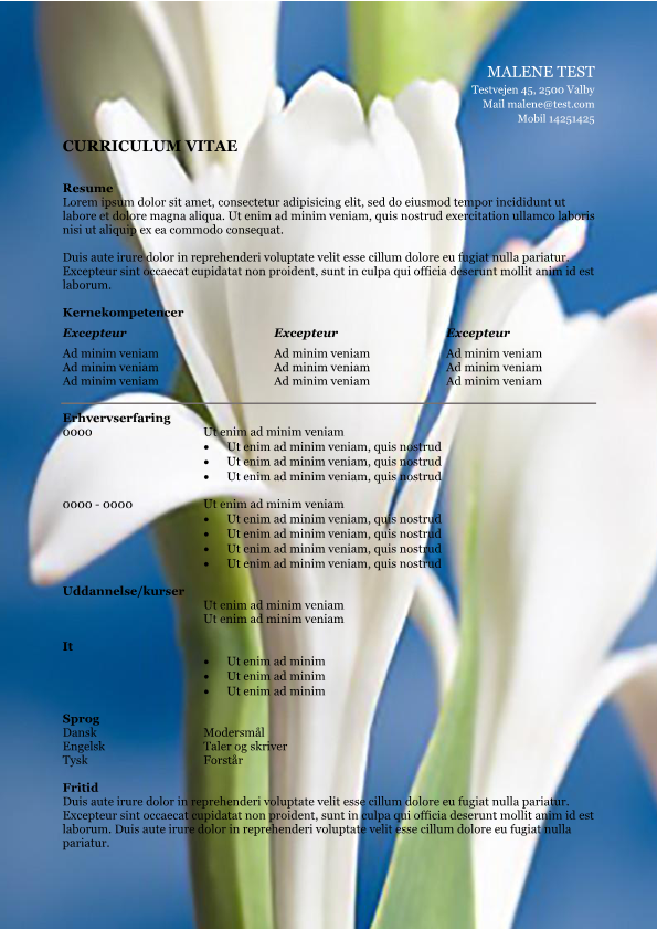 2 CV-skabelon-med-resume - blomst